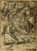 An illustration from Fabvlae centvm ex antiqvis avctoribvs delectae et a Gabriele Faerno Cremonensi carminibvs explicatae (1564)