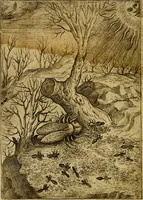 Picture 7 of 101 from Fabvlae centvm ex antiqvis avctoribvs delectae et a Gabriele Faerno Cremonensi carminibvs explicatae (1564), leaf 19
