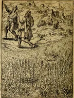 Picture 97 of 101 from Fabvlae centvm ex antiqvis avctoribvs delectae et a Gabriele Faerno Cremonensi carminibvs explicatae (1564), leaf 197
