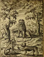 Picture 98 of 101 from Fabvlae centvm ex antiqvis avctoribvs delectae et a Gabriele Faerno Cremonensi carminibvs explicatae (1564), leaf 199