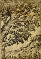 Picture 8 of 101 from Fabvlae centvm ex antiqvis avctoribvs delectae et a Gabriele Faerno Cremonensi carminibvs explicatae (1564), leaf 21