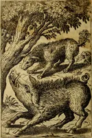 An illustration from Fabvlae centvm ex antiqvis avctoribvs delectae et a Gabriele Faerno Cremonensi carminibvs explicatae (1564)
