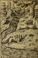 Picture 17 of 101 from Fabvlae centvm ex antiqvis avctoribvs delectae et a Gabriele Faerno Cremonensi carminibvs explicatae (1564), leaf 39