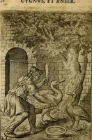 Picture 25 of 101 from Fabvlae centvm ex antiqvis avctoribvs delectae et a Gabriele Faerno Cremonensi carminibvs explicatae (1564), leaf 55