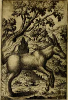 Picture 30 of 101 from Fabvlae centvm ex antiqvis avctoribvs delectae et a Gabriele Faerno Cremonensi carminibvs explicatae (1564), leaf 65
