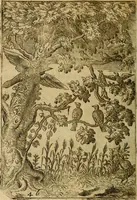 An illustration from Fabvlae centvm ex antiqvis avctoribvs delectae et a Gabriele Faerno Cremonensi carminibvs explicatae (1564)