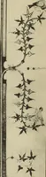 Picture 12 of 27 from Fac-similé de livres copiés et enluminés pour le roi Charles V. : souvenir de la journée du 8 mars 1903 (1903), leaf 44