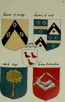 An illustration from Fac simile of an ancient heraldic manuscipt : emblazoned by Sir David Lyndsay of the Mount. Lyon king of armes 1542 (1878)
