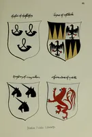Picture 102 of 165 from Fac simile of an ancient heraldic manuscipt : emblazoned by Sir David Lyndsay of the Mount. Lyon king of armes 1542 (1878), leaf 207