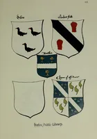 An illustration from Fac simile of an ancient heraldic manuscipt : emblazoned by Sir David Lyndsay of the Mount. Lyon king of armes 1542 (1878)