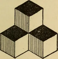 An illustration from Fact and fable in psychology (1900)