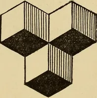 An illustration from Fact and fable in psychology (1900)