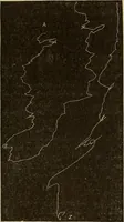 Picture 13 of 35 from Fact and fable in psychology (1900), leaf 339