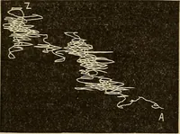 Picture 15 of 35 from Fact and fable in psychology (1900), leaf 341