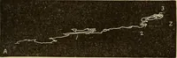 An illustration from Fact and fable in psychology (1900)