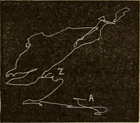 Picture 19 of 35 from Fact and fable in psychology (1900), leaf 343