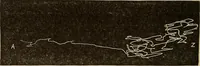 Picture 22 of 35 from Fact and fable in psychology (1900), leaf 344