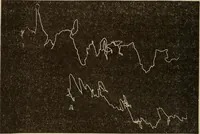 Picture 25 of 35 from Fact and fable in psychology (1900), leaf 348