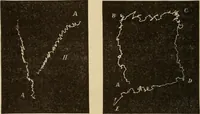 Picture 27 of 35 from Fact and fable in psychology (1900), leaf 350
