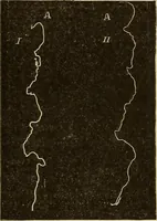Picture 28 of 35 from Fact and fable in psychology (1900), leaf 351
