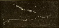 Picture 32 of 35 from Fact and fable in psychology (1900), leaf 355
