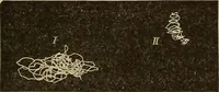 Picture 35 of 35 from Fact and fable in psychology (1900), leaf 357