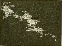 An illustration from Fact and fable in psychology (1901)