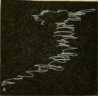 An illustration from Fact and fable in psychology (1901)