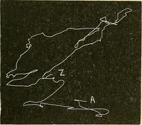 An illustration from Fact and fable in psychology (1901)