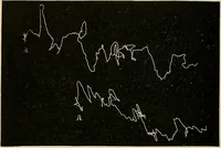 An illustration from Fact and fable in psychology (1901)