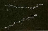 An illustration from Fact and fable in psychology (1901)