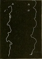 An illustration from Fact and fable in psychology (1901)