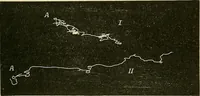 An illustration from Fact and fable in psychology (1901)