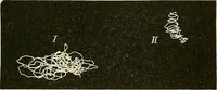 An illustration from Fact and fable in psychology (1901)