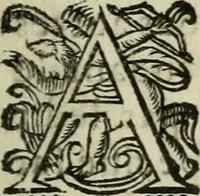 An illustration from Factum pour madame la comtese de Saint-Géran (1663)