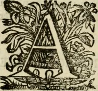 An illustration from Faems Weer-galm der Neder-duytsche poësie (1670)