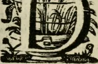 An illustration from Faems Weer-galm der Neder-duytsche poësie (1670)