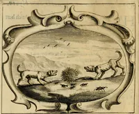 An illustration from Faems Weer-galm der Neder-duytsche poësie (1670)