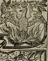 An illustration from The faerie queene : disposed into XII bookes, fashioning twelue morall vertues (1609)