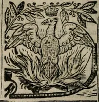Picture 58 of 159 from The faerie queene : disposed into XII bookes, fashioning twelue morall vertues (1609), leaf 135