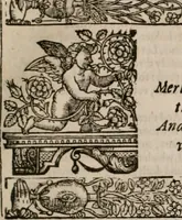 Picture 60 of 159 from The faerie queene : disposed into XII bookes, fashioning twelue morall vertues (1609), leaf 140