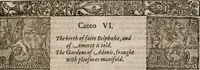 Picture 64 of 159 from The faerie queene : disposed into XII bookes, fashioning twelue morall vertues (1609), leaf 156