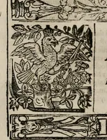 An illustration from The faerie queene : disposed into XII bookes, fashioning twelue morall vertues (1609)