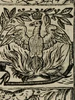 Picture 71 of 159 from The faerie queene : disposed into XII bookes, fashioning twelue morall vertues (1609), leaf 171