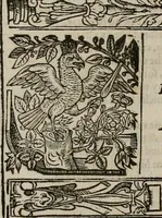 An illustration from The faerie queene : disposed into XII bookes, fashioning twelue morall vertues (1609)