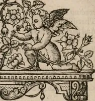 Picture 12 of 159 from The faerie queene : disposed into XII bookes, fashioning twelue morall vertues (1609), leaf 20