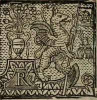 Picture 84 of 159 from The faerie queene : disposed into XII bookes, fashioning twelue morall vertues (1609), leaf 205