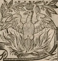 Picture 87 of 159 from The faerie queene : disposed into XII bookes, fashioning twelue morall vertues (1609), leaf 210