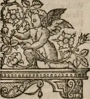 An illustration from The faerie queene : disposed into XII bookes, fashioning twelue morall vertues (1609)