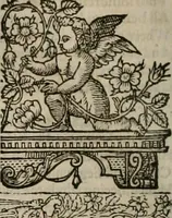 An illustration from The faerie queene : disposed into XII bookes, fashioning twelue morall vertues (1609)